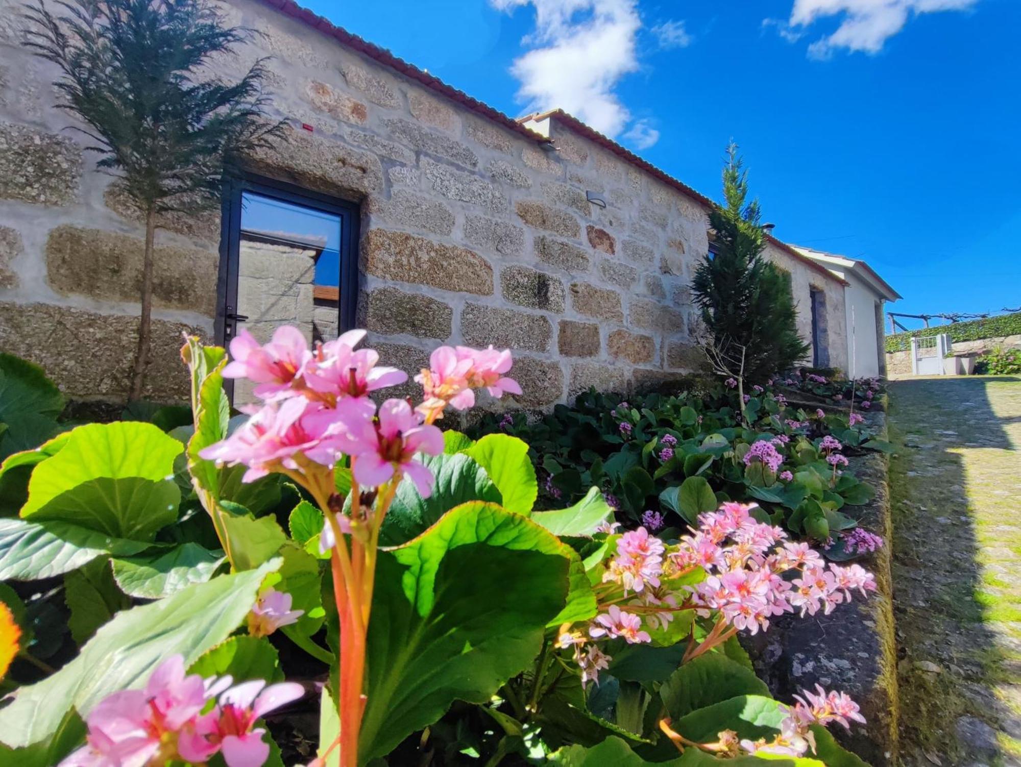 Agroturismo Quinta De Travancela Амаранте Екстер'єр фото