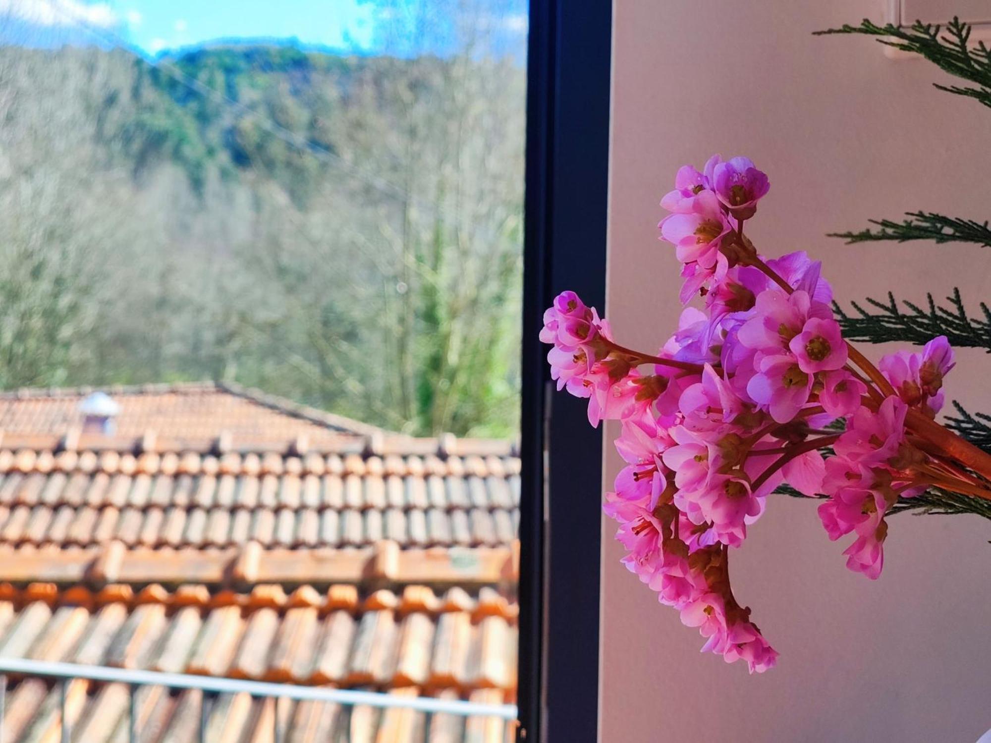 Agroturismo Quinta De Travancela Амаранте Екстер'єр фото